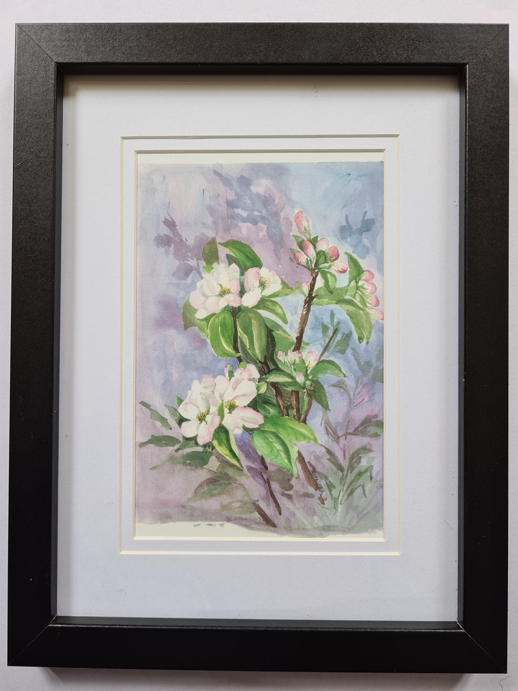 Flowers  Ruth Palmer, framed art print - 15cmx20cm