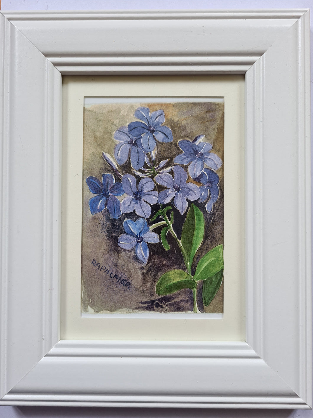 Plumbago, Ruth Palmer, Framed art print- larger frame